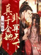 《沈栖月萧淮复》小说全文免费试