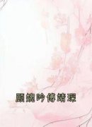 《顾婉吟傅靖琛》小说全文精彩阅