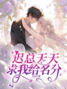 《迟总天天求我给名分》小说全文