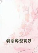 《裴景林沈芮汐》小说阅读 沈芮汐