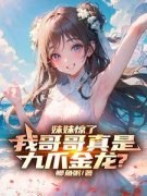 《苏辰苏小小》最新章节 第1章