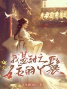 李吟珂秦婉儿我是甜文女主的丫鬟