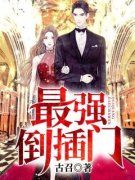 《叶伟赵倩》最强倒插门章节列表