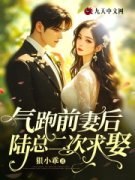 《乔语陆京宴》小说精彩阅读 《乔