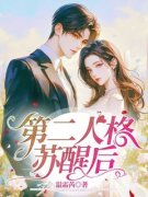 《第二人格苏醒后》林纯宋覃小说