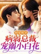 《叶星瑶顾宇辰》小说全文免费试