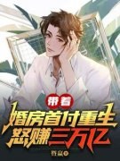 带着婚房首付重生，怒赚三万亿小