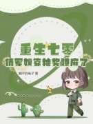 《苏青江行舟》暴打极品章节列表