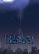 《我离开后，太子爷追妻火葬场了