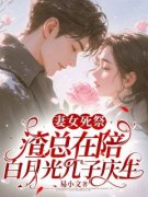 《阮安夏薄云》大结局在线阅读 《