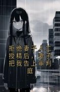 精品小说《拒绝妻子人工授精后，