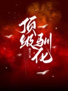 《温乔傅西琅》小说章节列表精彩