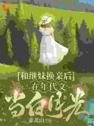 《和继妹换亲后，在年代文当白月