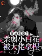 《秋漫漫司濯》穿成嫁豪门，柔弱