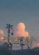 新书《重生不舔校草后，反被他求