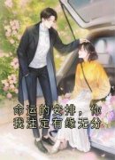 若琴若铁章节目录 《命运的安排，