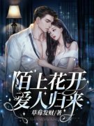 陌上花开，爱人归来全章节免费免