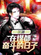《林哲马丽霞》江湖：在煤都奋斗