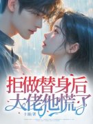 《拒做替身后，大佬他慌了》全文