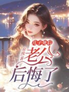 主角是儿子死后，老公后悔了的小