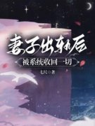 《许添宋阮》妻子出轨后，被系统
