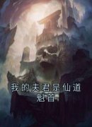 好书推荐《沈汐长华》我的夫君是