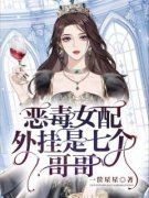 《苏婉若君戈野》小说全文精彩章