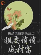 《王桃花王有财》极品亲戚别来沾