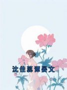 《沈佳蕊谭晏文》小说大结局精彩