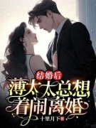 《结婚后，薄太太总想着闹离婚》