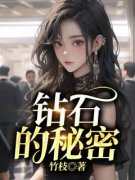 钻石的秘密小说阅读 钻石的秘密小