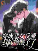 穿成恶女反派，我嫁给傻子了柳芸