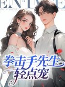 主角是苏星悦陈宸的小说 《拳击手