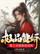 《极品赘婿：郡主对我相思成疾》