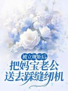 《方家文欢欢》小说全文精彩试读