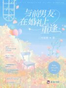 《与前男友在婚礼上重逢》小说全