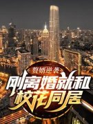 叶秋白夏小晴完整全文阅读 赘婿逆