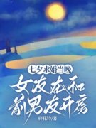 完整版《傅清言林紫颜》七夕求婚
