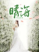 《许嘉南陆亦晴王昭颜》小说大结