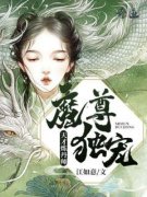 《沈卿陵司徒枫》魔尊独宠：天才