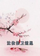 《沈依依卫煊胤》完结版免费试读