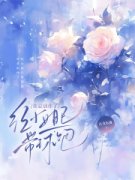 《纪子清许澈》小说章节目录在线