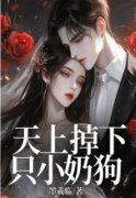 《天上掉下只小奶狗》小说全文在