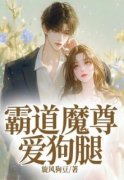 《林夕沈翼宋浅秋》小说大结局精