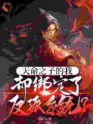 《天命之子的我却绑定了反派系统