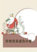 《神奇宝贝成为小智》小说章节精