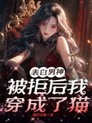 顾准顾屿安苏郁by落日飞鱼无防盗章