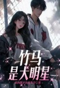 《虞听晚林屿霁》小说全文免费试