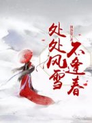 处处风雪不逢春白初窈韩初窈 处处