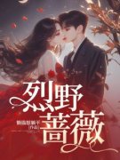 《阮薇索朗》小说全文精彩阅读 《